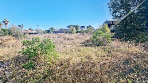 TERRENO EN VENTA ZONA MADRIGAL VILA-REAL, imatge 3