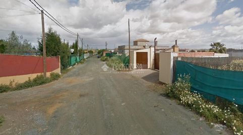 Foto 4 de Finca rústica en venta en Coria del Río, Sevilla