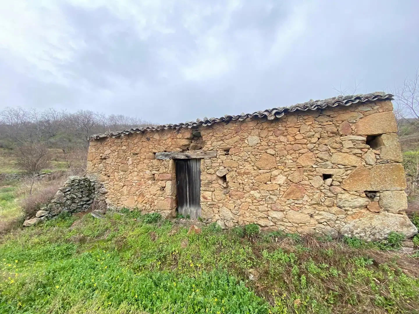 Terreny rústic en venda a Arroyomolinos de la Vera, imagen 2