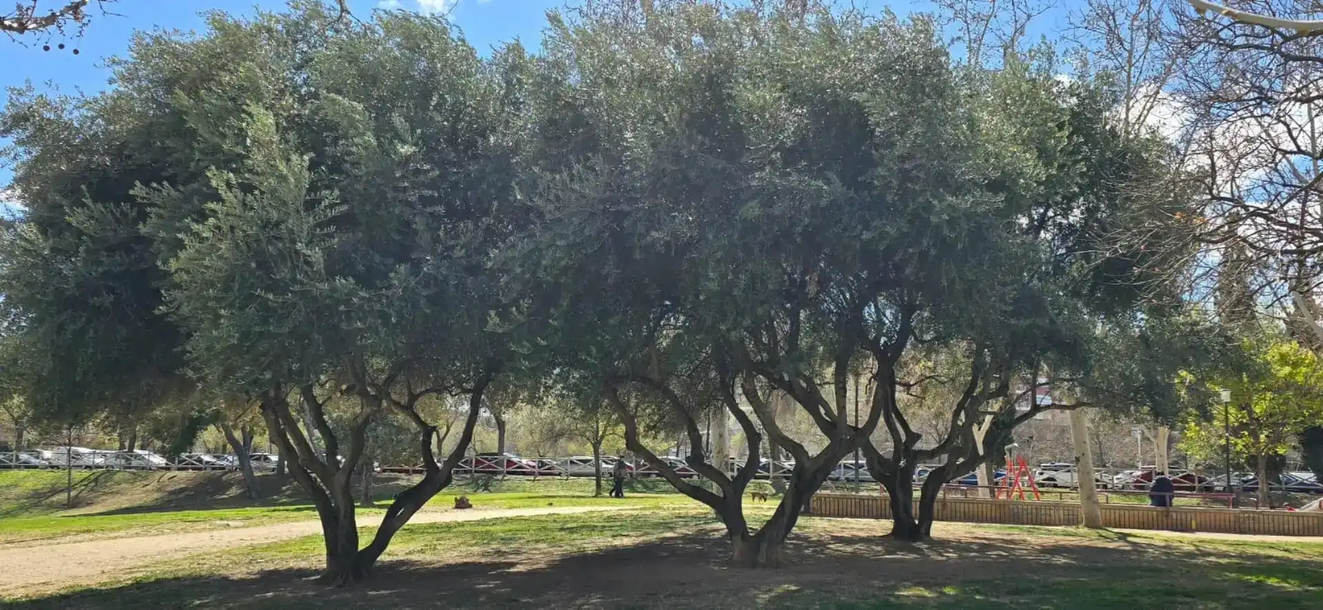 Vista exterior de Pis en venda en  Zaragoza Capital amb Aire condicionat i Balcó