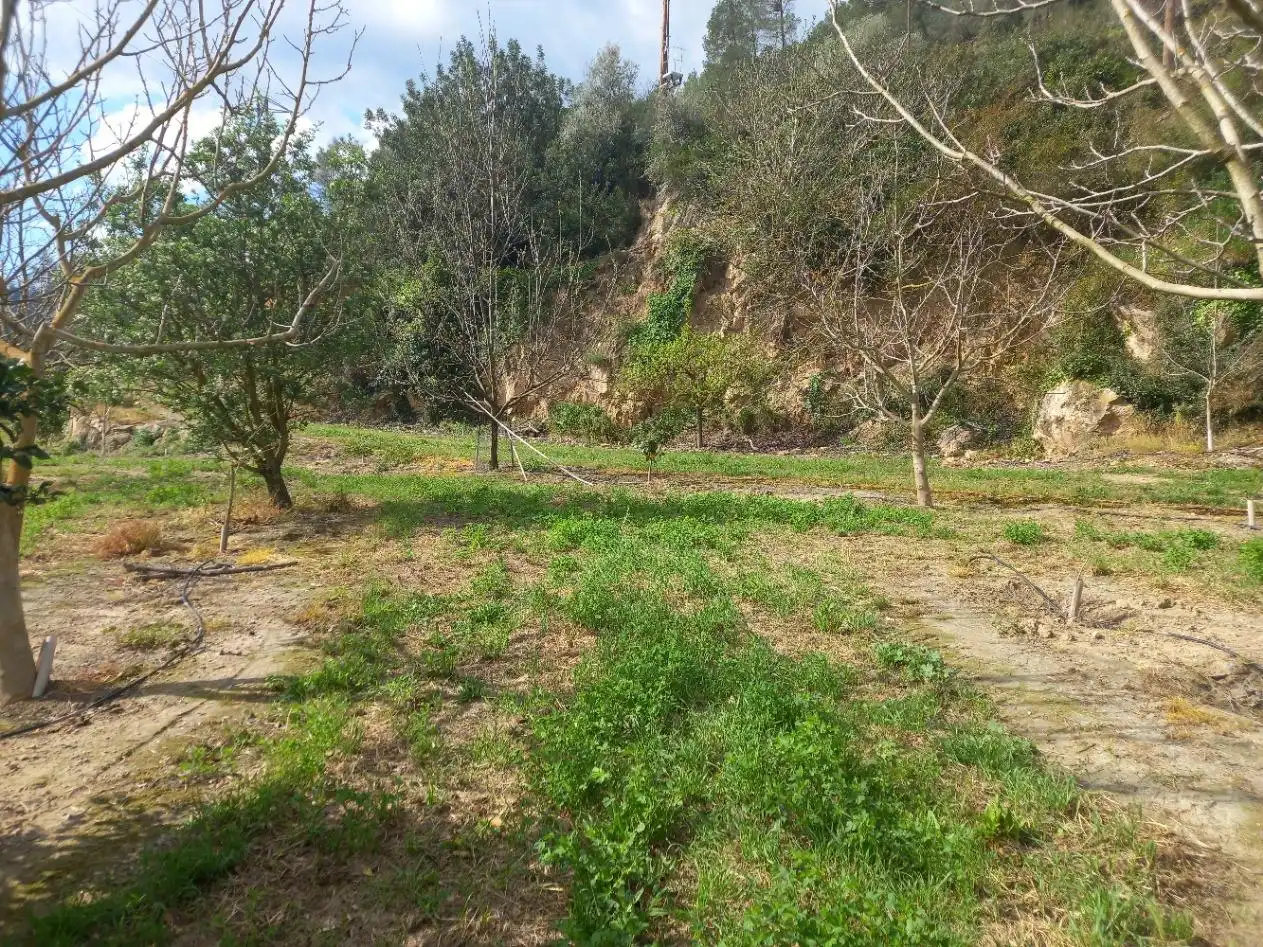 Terreny rústic en venda a Miravet, imagen 28