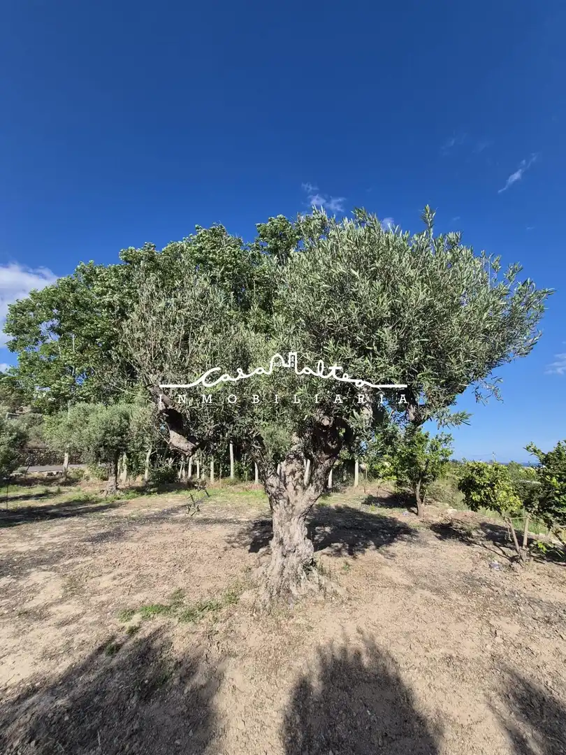Terreno rustico in vendita a Altea ciudad, imagen 8