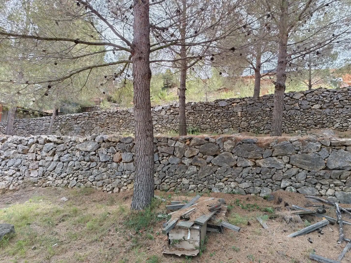 Lands and plots for sale in Borriol, imagen 9