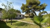 Jardí de Casa o xalet en venda en Orihuela