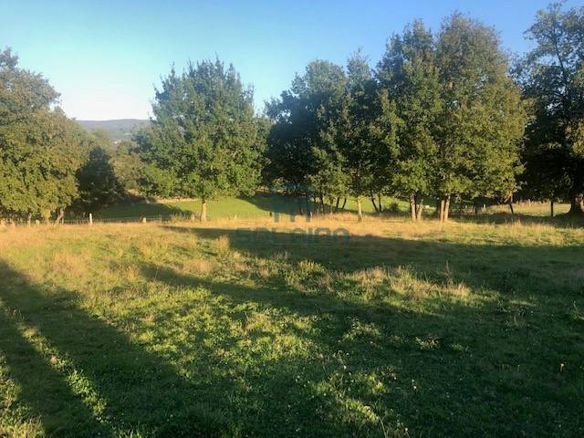 Terreno residencial en Venta en Nogueira de Ramuín