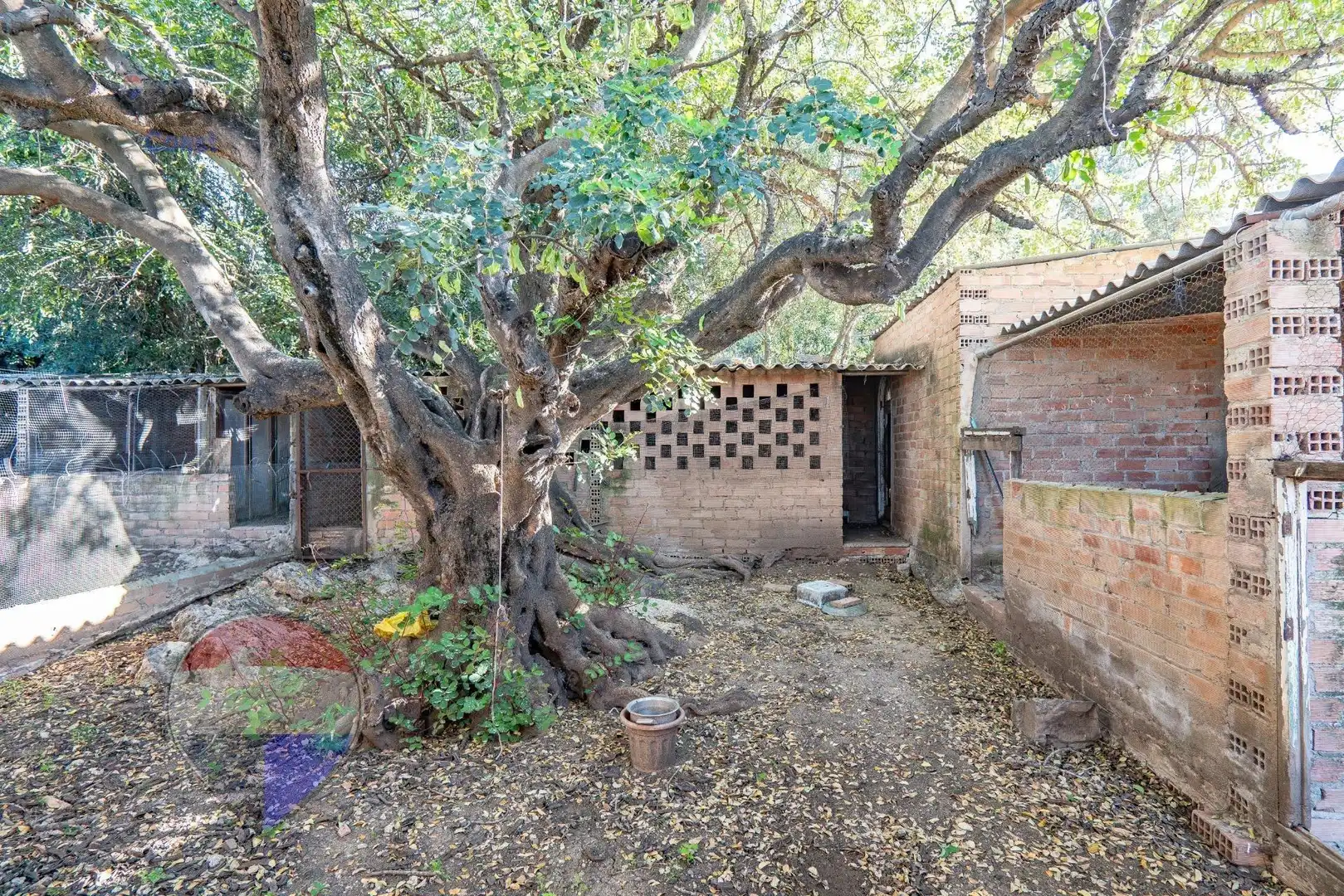 Detached house with pool for sale in Polígono 52 Paraje 1044 LAS VIÑAS, imagen 62