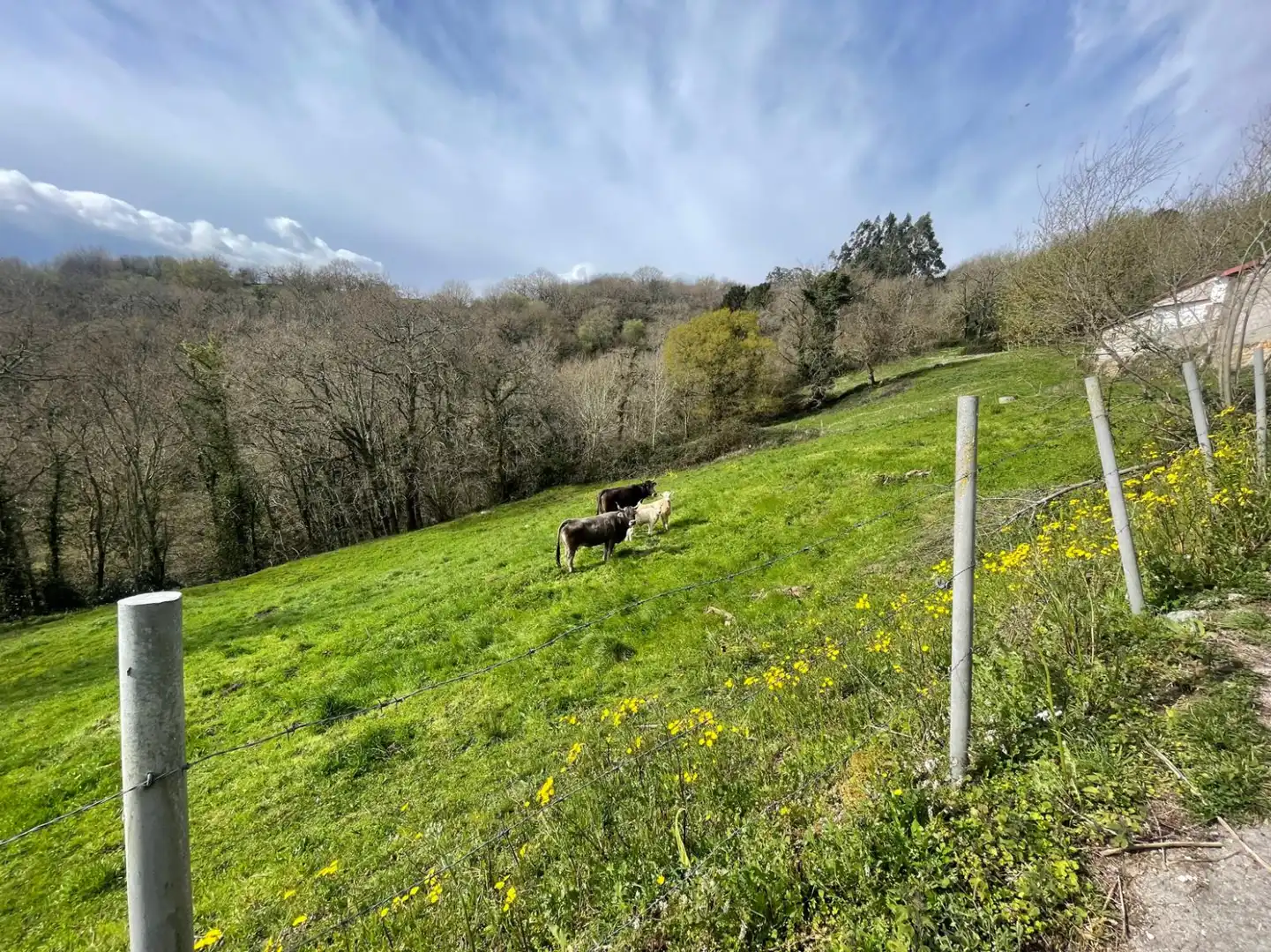 Terreni e lotti in vendita a Corvera de Toranzo, imagen 4