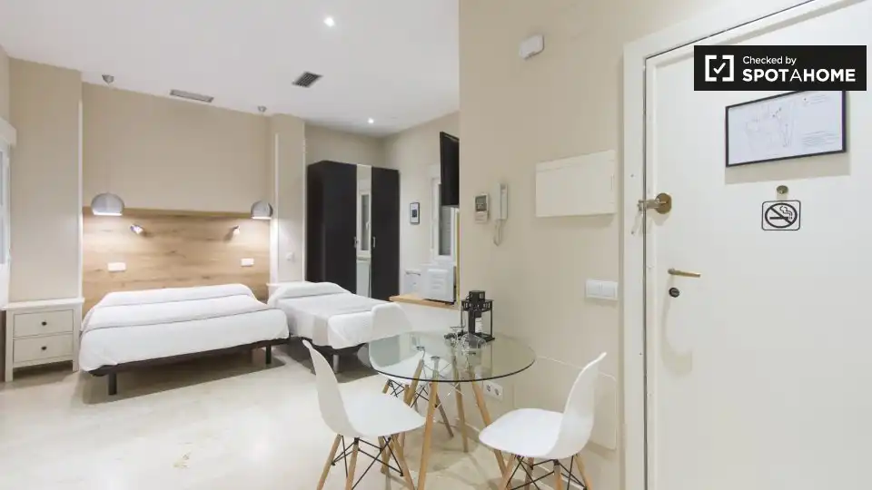 Wohnung mit Terrasse zur Miete in Centro