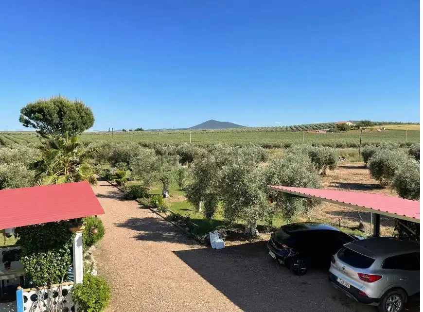 Garden of Houses for sale in Mengabril  with Private garden, Parquet flooring and Terrace