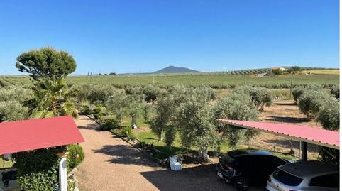 Photo 2 of House or chalet for sale in Mengabril, Badajoz