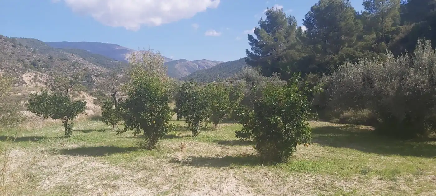Terrenys i solars en venda a Relleu, imagen 12