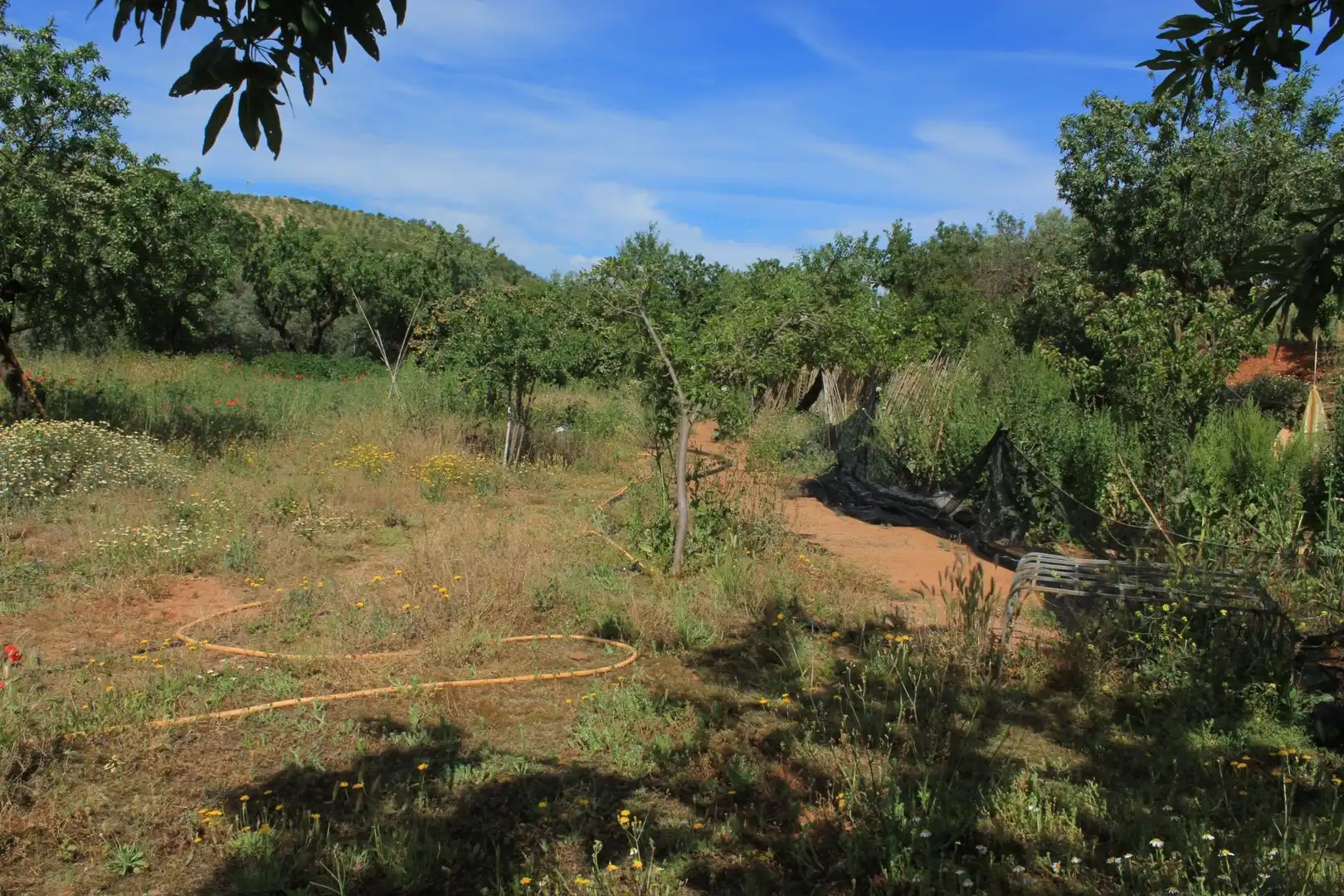 Terreno en venta en Nigüelas