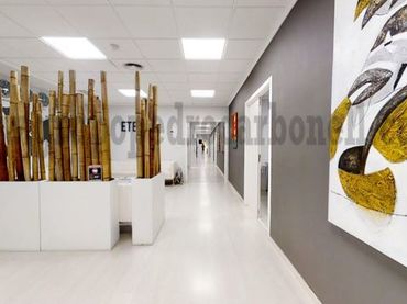 Ufficio in affitto a Elche ciudad