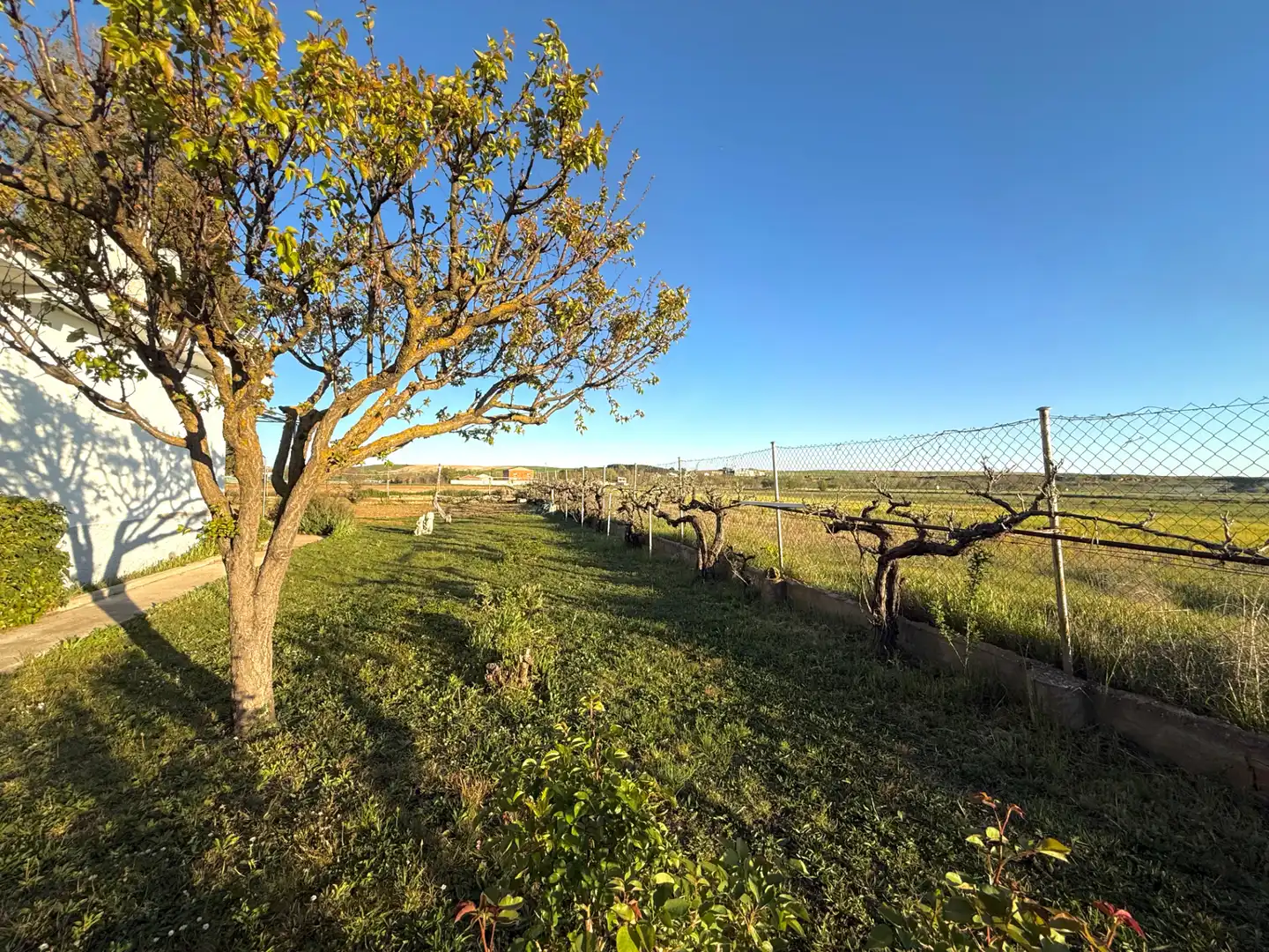 Vista exterior de Casa o chalet en venta en Estremera con Calefacción, Jardín privado y Terraza