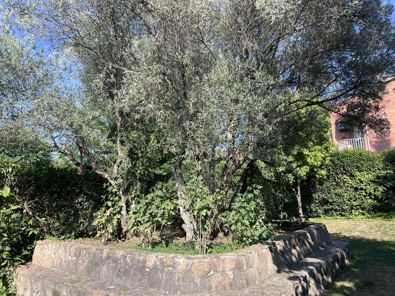 Casa con piscina in affitto a Calle Genaro Núñez, imagen 46