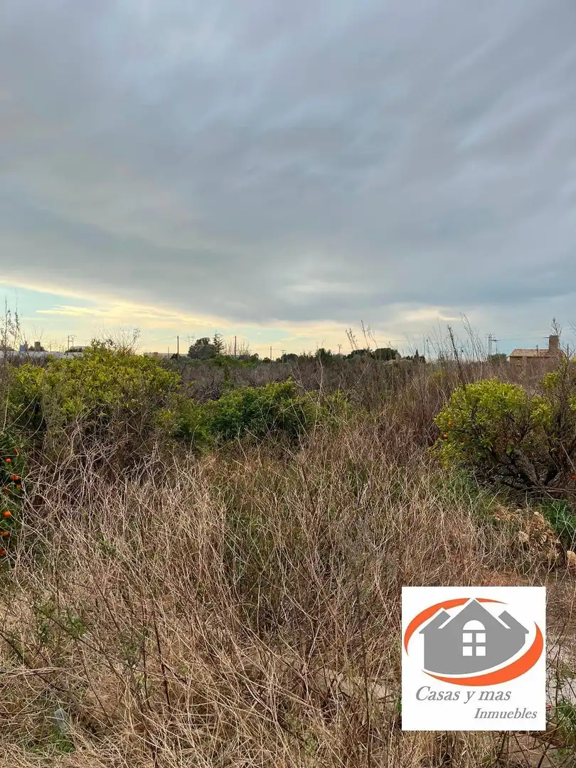 Terreno rustico in vendita a moli de llop, imagen 4