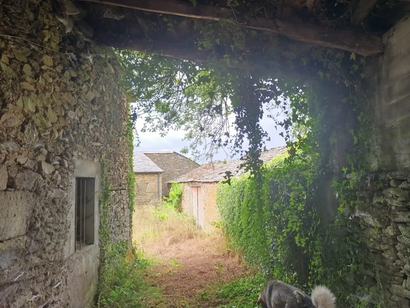 Casa rústica en venda a O Saviñao, imagen 19