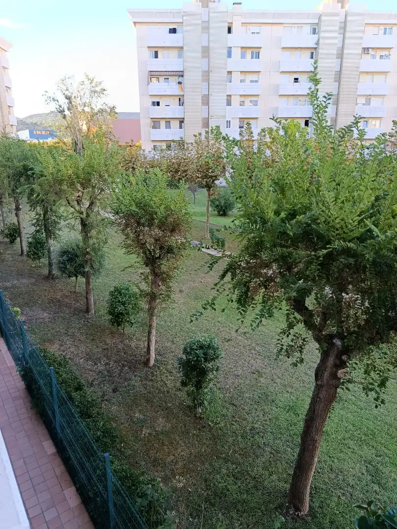 Pis en venda a Passeig Olof Palme, Montigalà