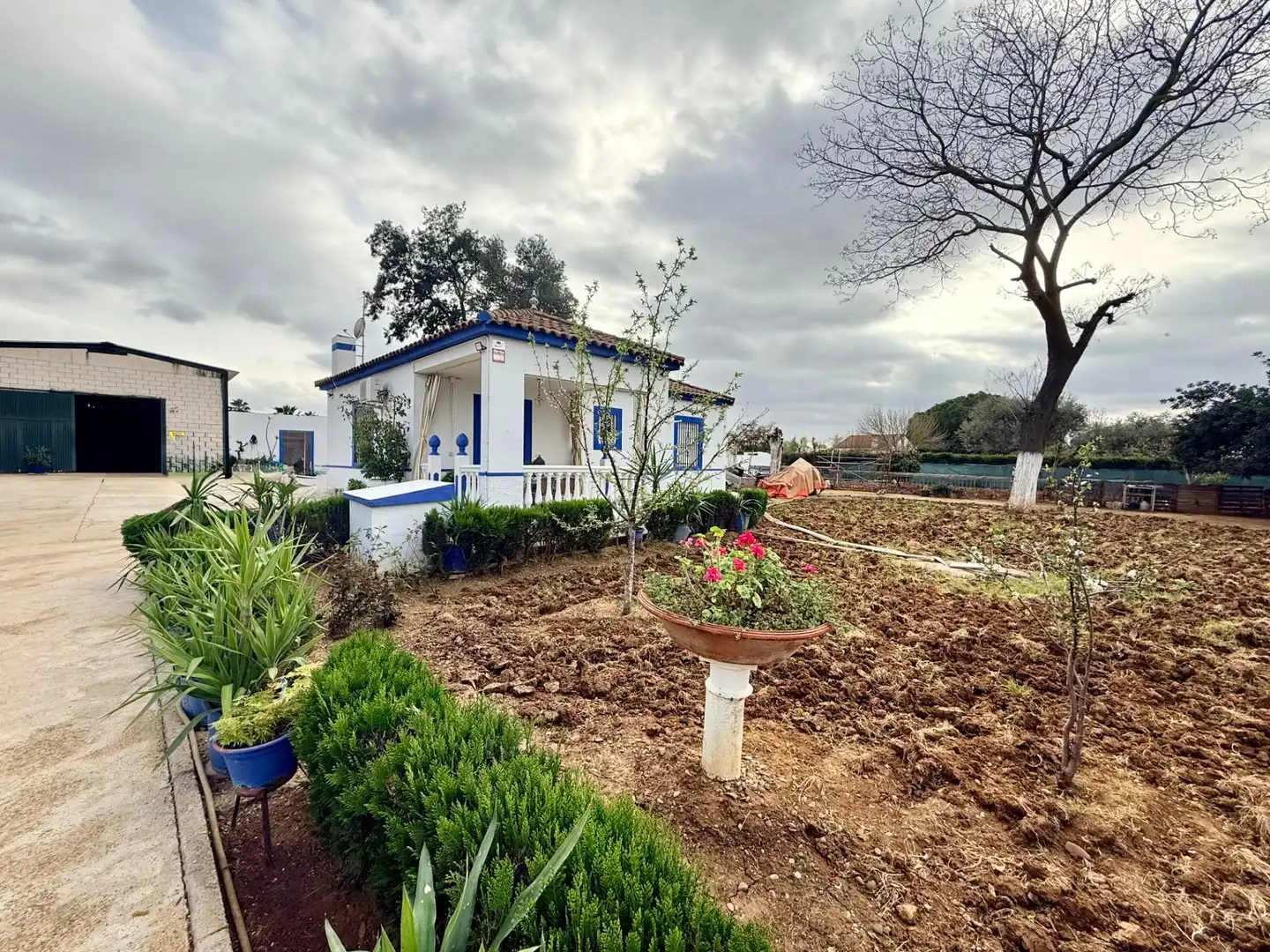 Jardín de Casa o chalet en venta en Carmona con Aire acondicionado, Jardín privado y Trastero