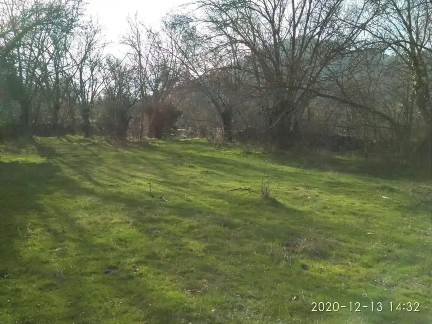 Land for sale in Centro - Manguilla