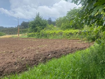 Terreno residenziale in vendita a Vedra