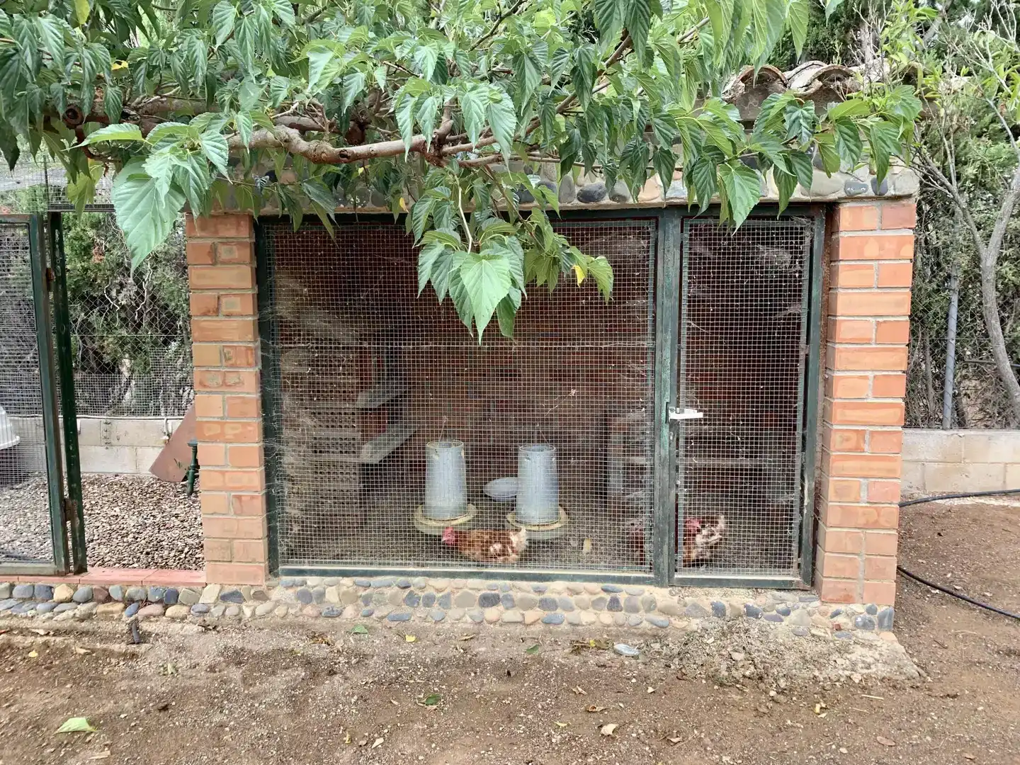 Jardín de Casa o chalet en venta en Reus