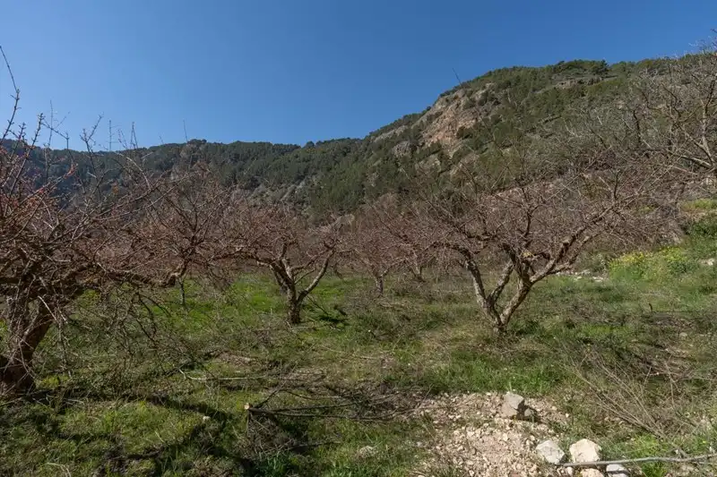 Terreni e lotti in vendita a Villamena, imagen 10