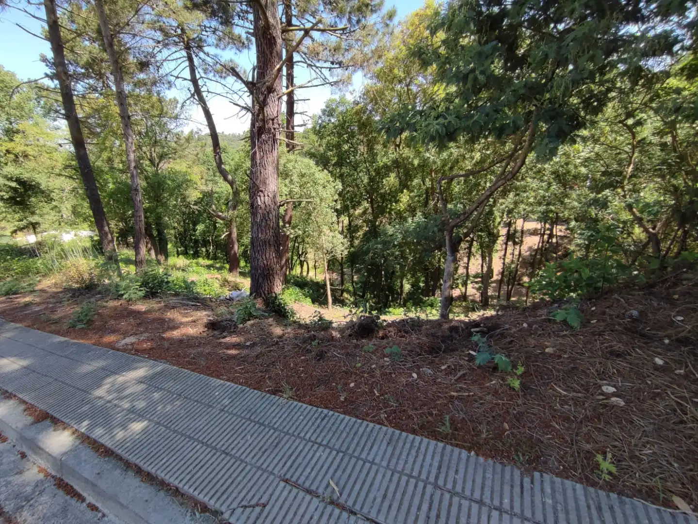 Terreny residencial en venda a Carrer les Mimoses, imagen 9