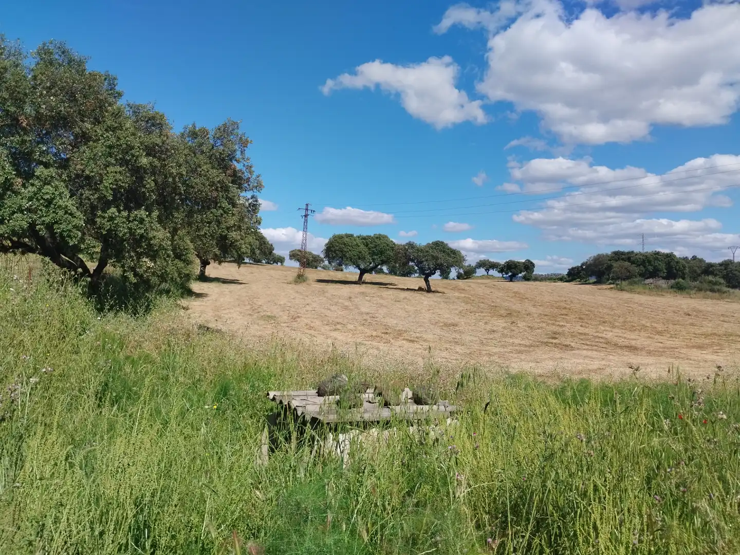 Terreni e lotti in vendita a Jerez de los Caballeros, imagen 14