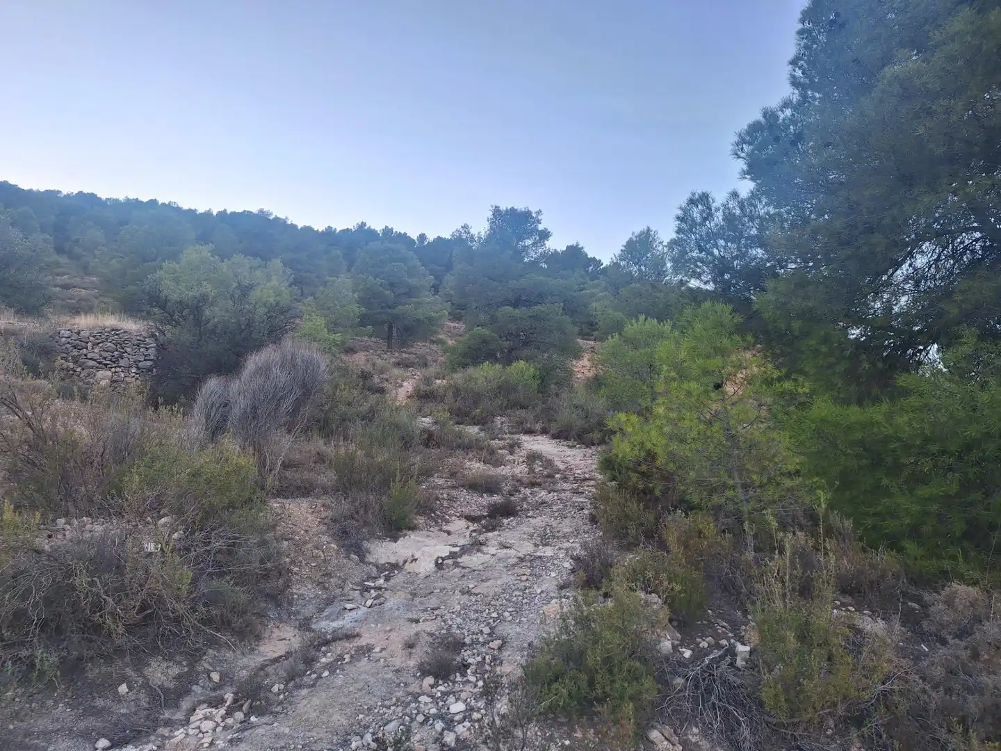 Rural land for sale in Castalla, imagen 12