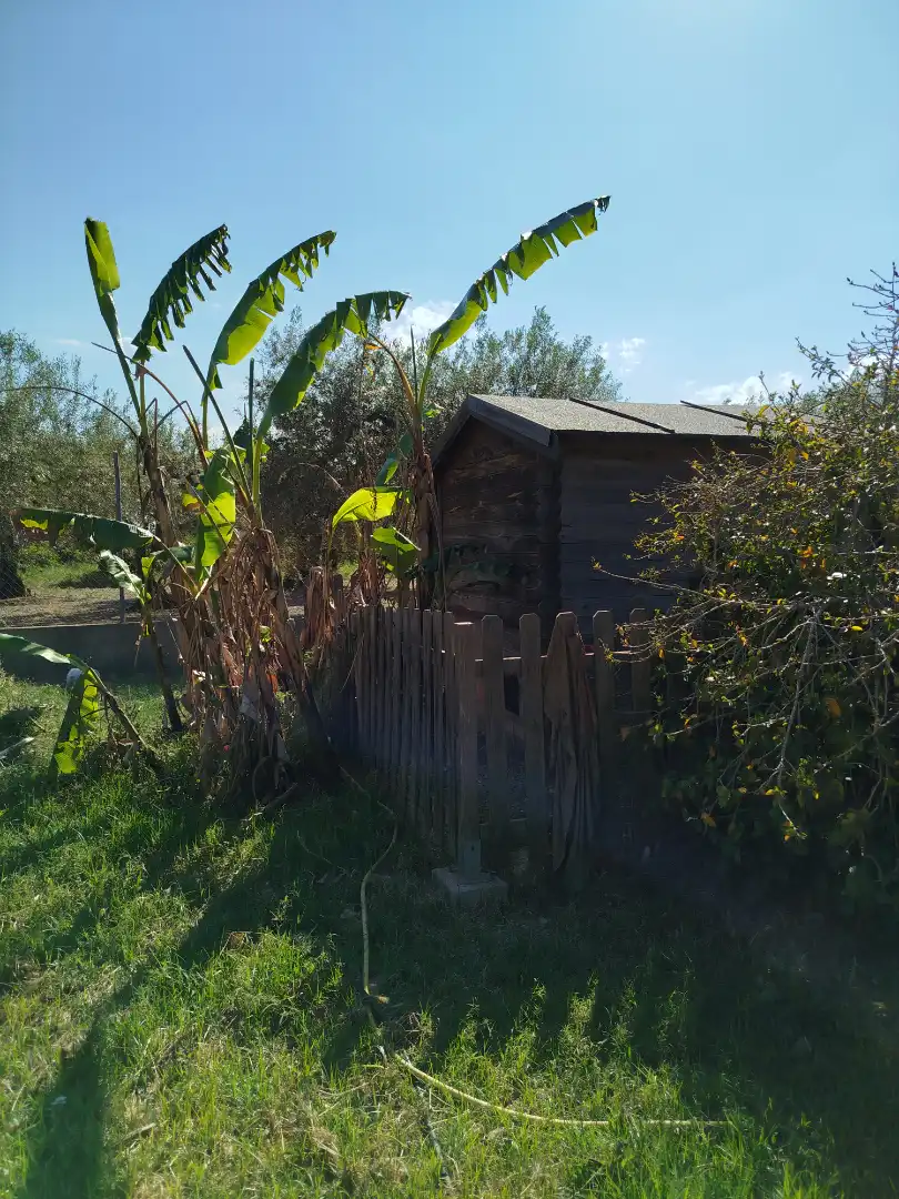 Casa o xalet en venda en Benicarló amb Aire condicionat, Calefacció i Jardí privat