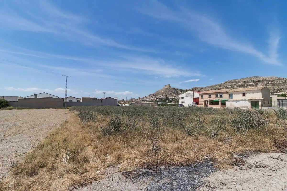 Lands and plots for sale in Mula, imagen 3