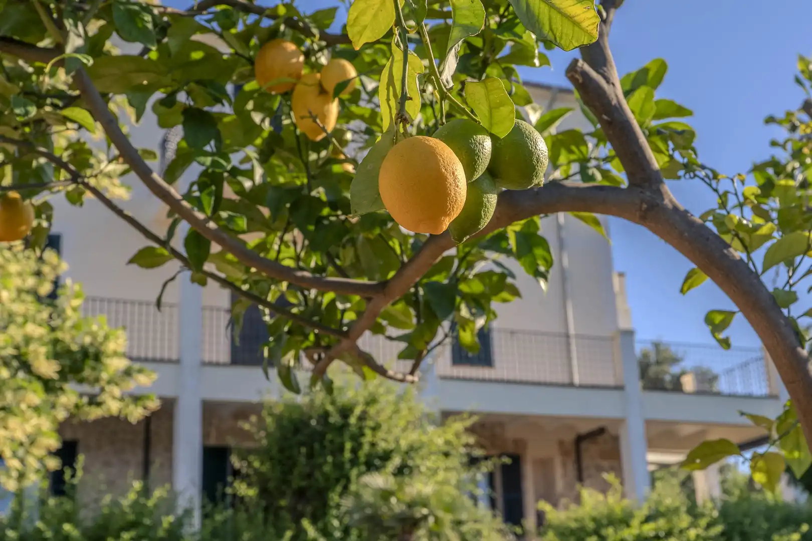 Außenansicht von Erdgeschoss zum Verkauf in  Palma de Mallorca mit Klimaanlage, Heizung und Privatgarten