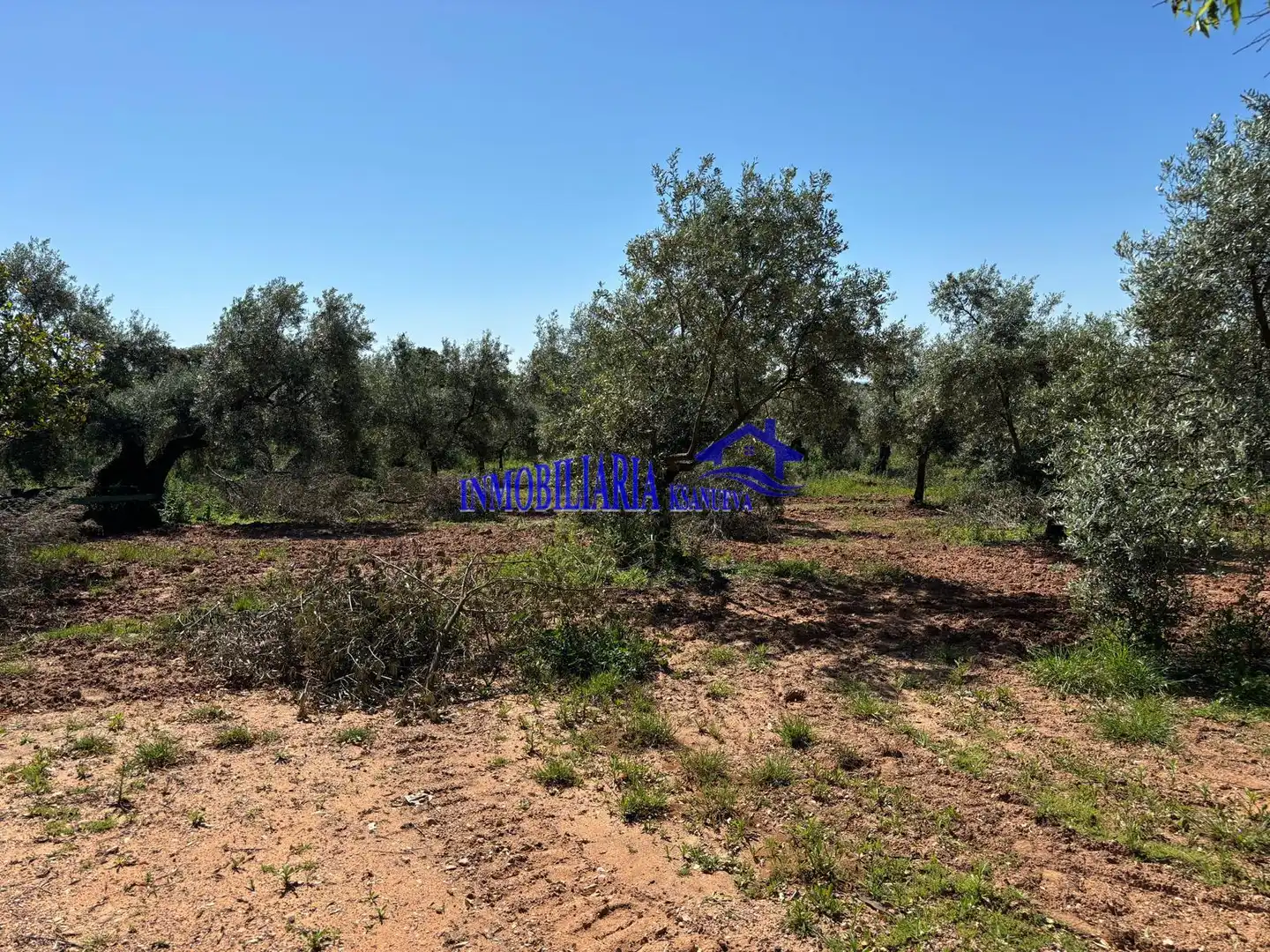 Casa rústica en venta en Montoro, imagen 30