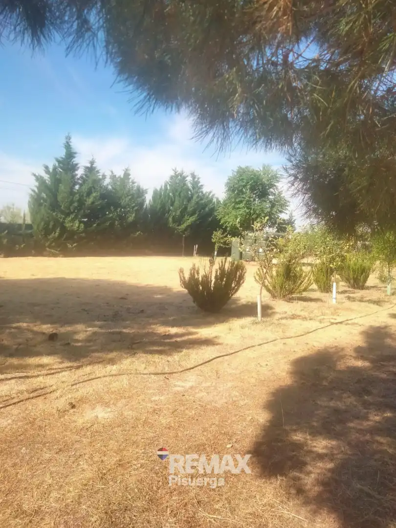 Terreni e lotti in vendita a Lugar Comun Viejo 2, imagen 22