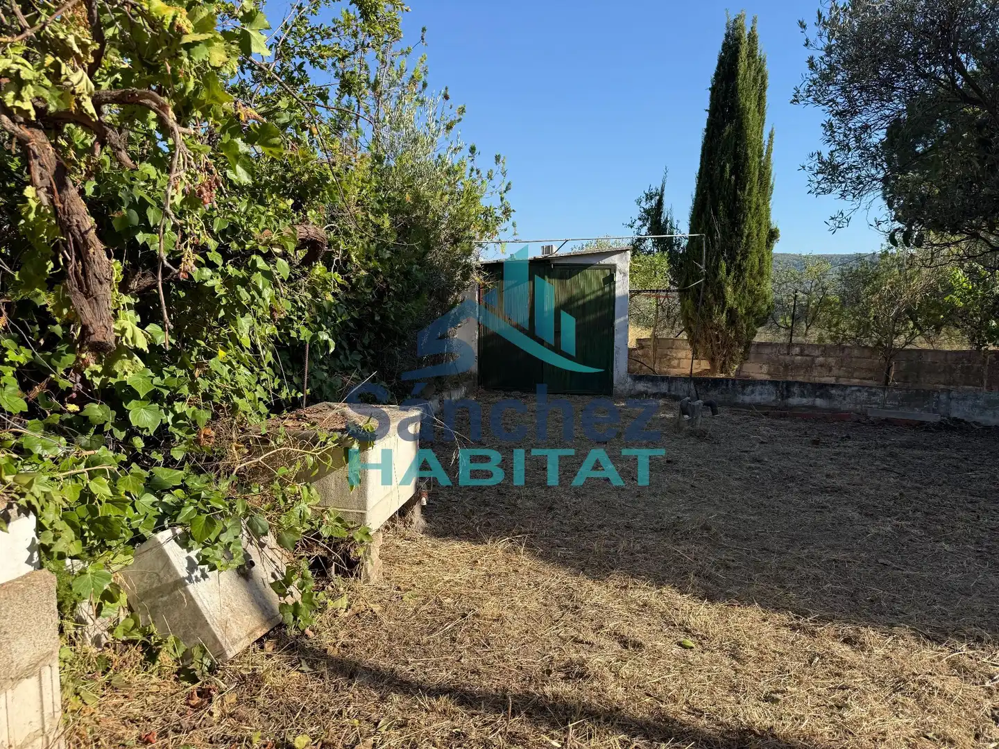 Casa amb jardí en venda a Calles, imagen 31
