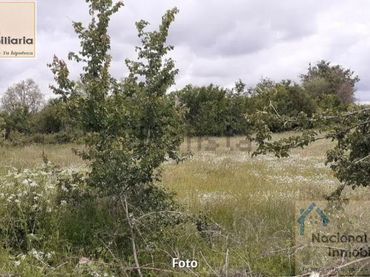 Terreni e lotti in vendita a Santo Tomé del Puerto