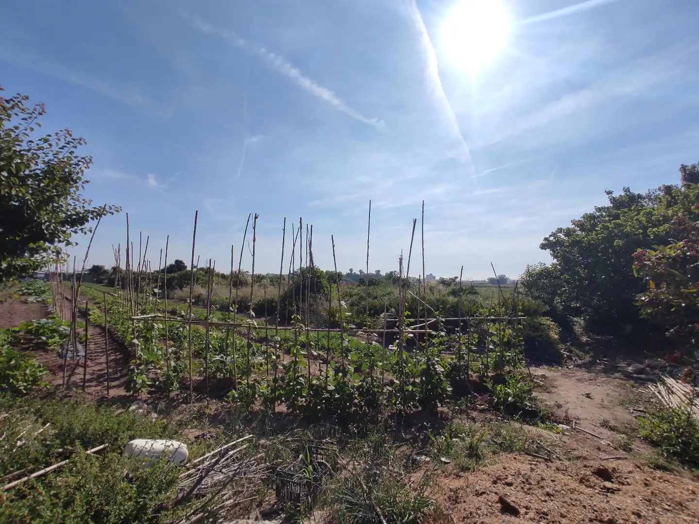 Land for sale in Valencia