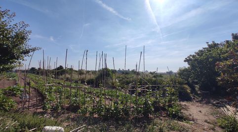 Foto 2 de Terreno en venta en Carpesa, Valencia Capital