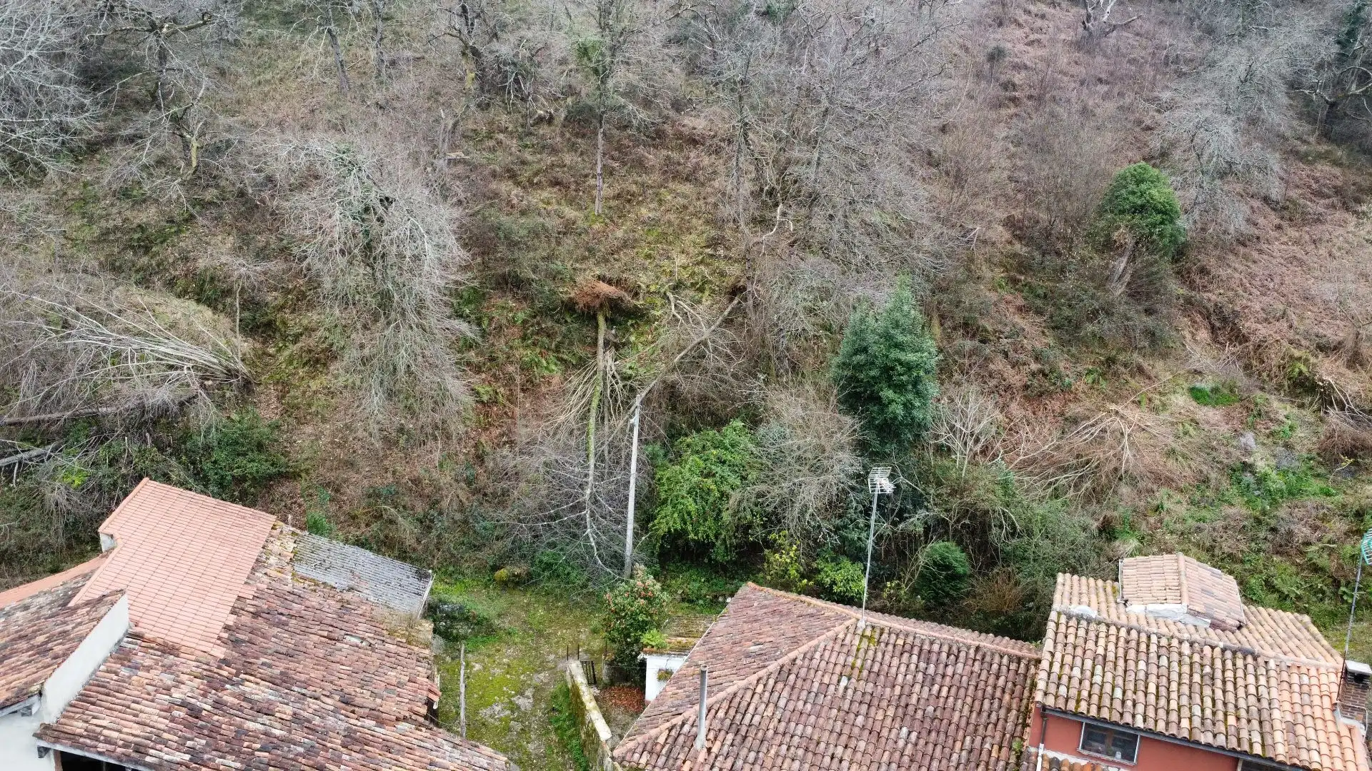 Vista exterior de Casa o chalet en venta en Llanes con Jardín privado y Terraza