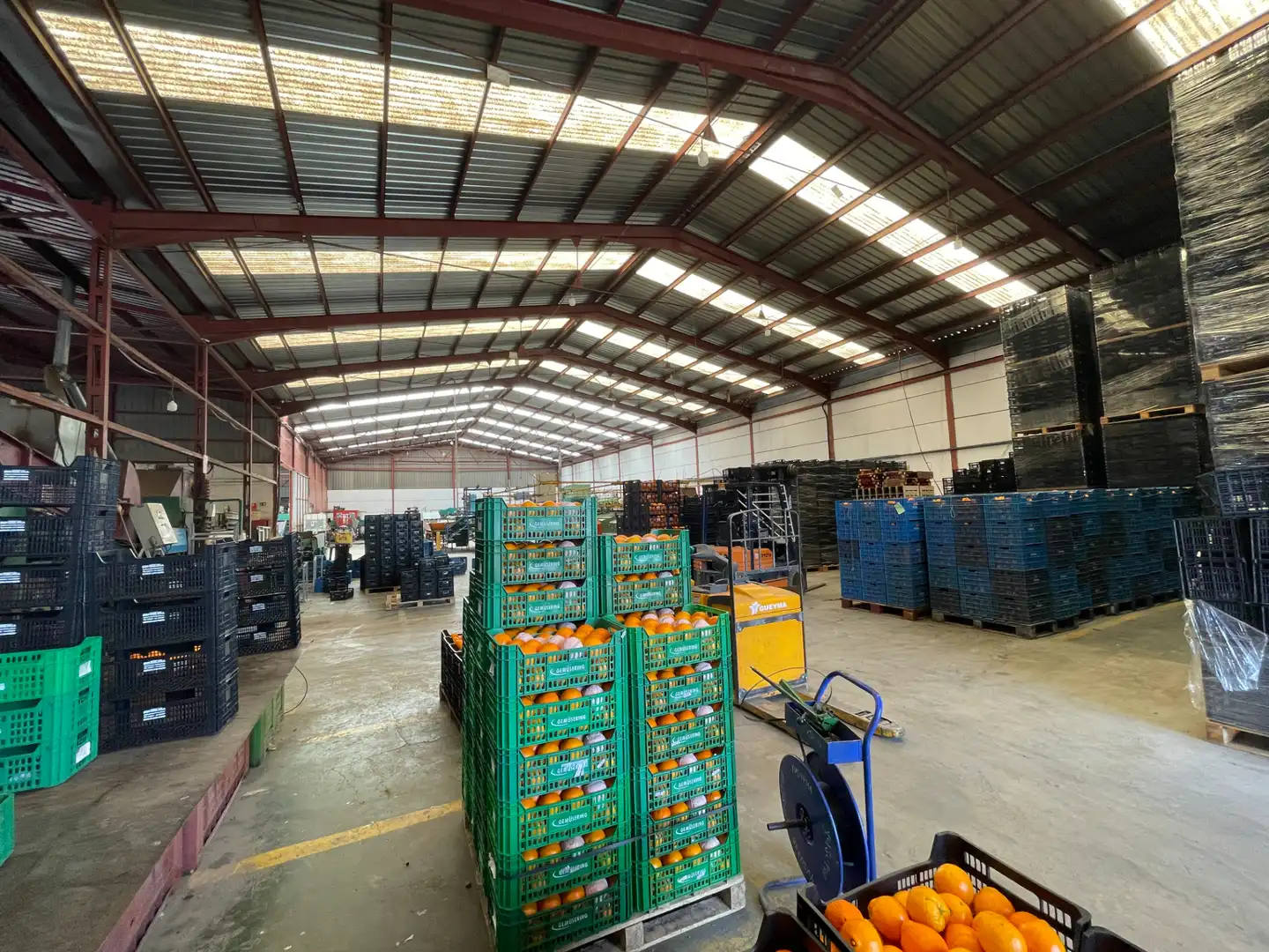 Nau industrial en venda a Carrer d'Algímia d'Alfara, 2, Na Rovella - Hermanos Maristas
