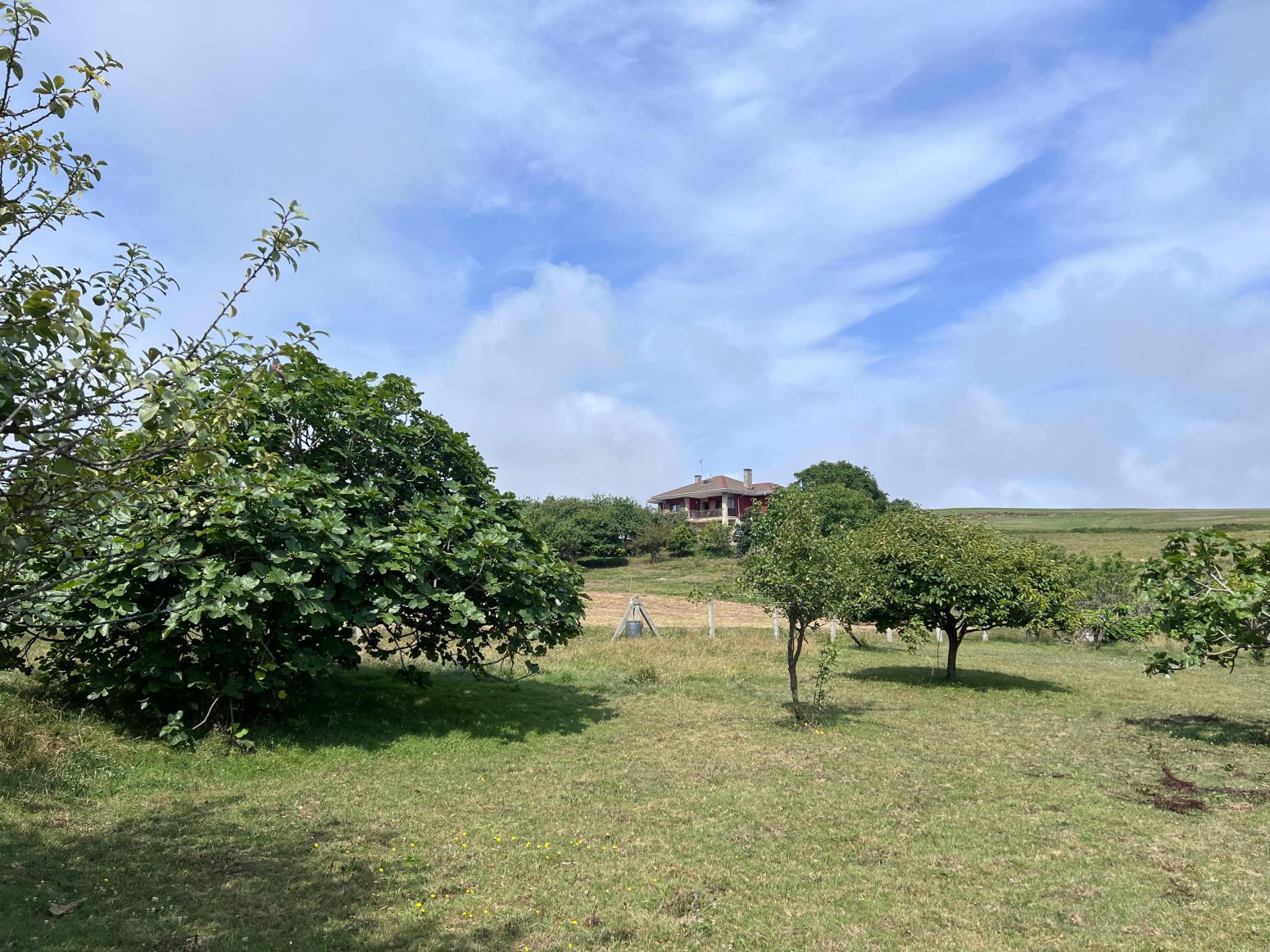 House or chalet for sale in Gozón - Camin de Susacasa a Llantada, Bocines - Nembro - Cardo, Gozón