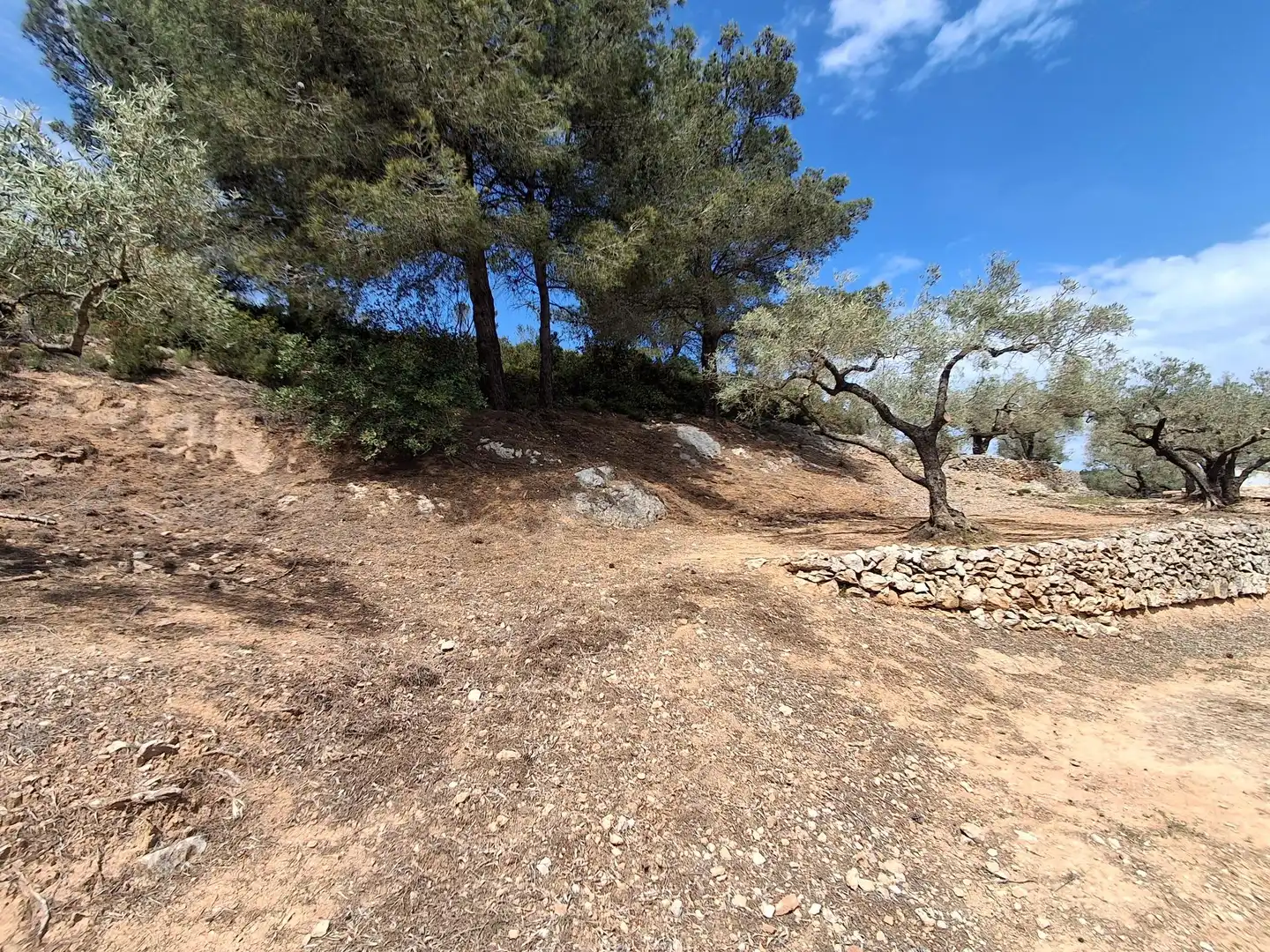 Terreno rustico in vendita a El Perelló, imagen 65