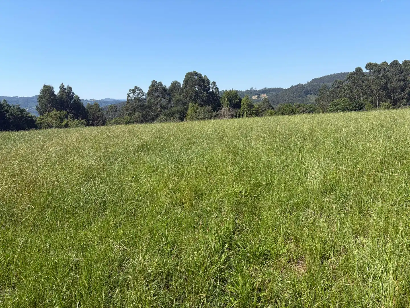 Residencial en venta en Colunga
