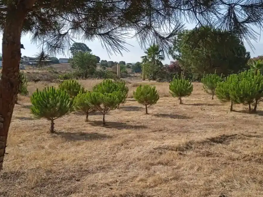 Finca rústica en venda en Lepe