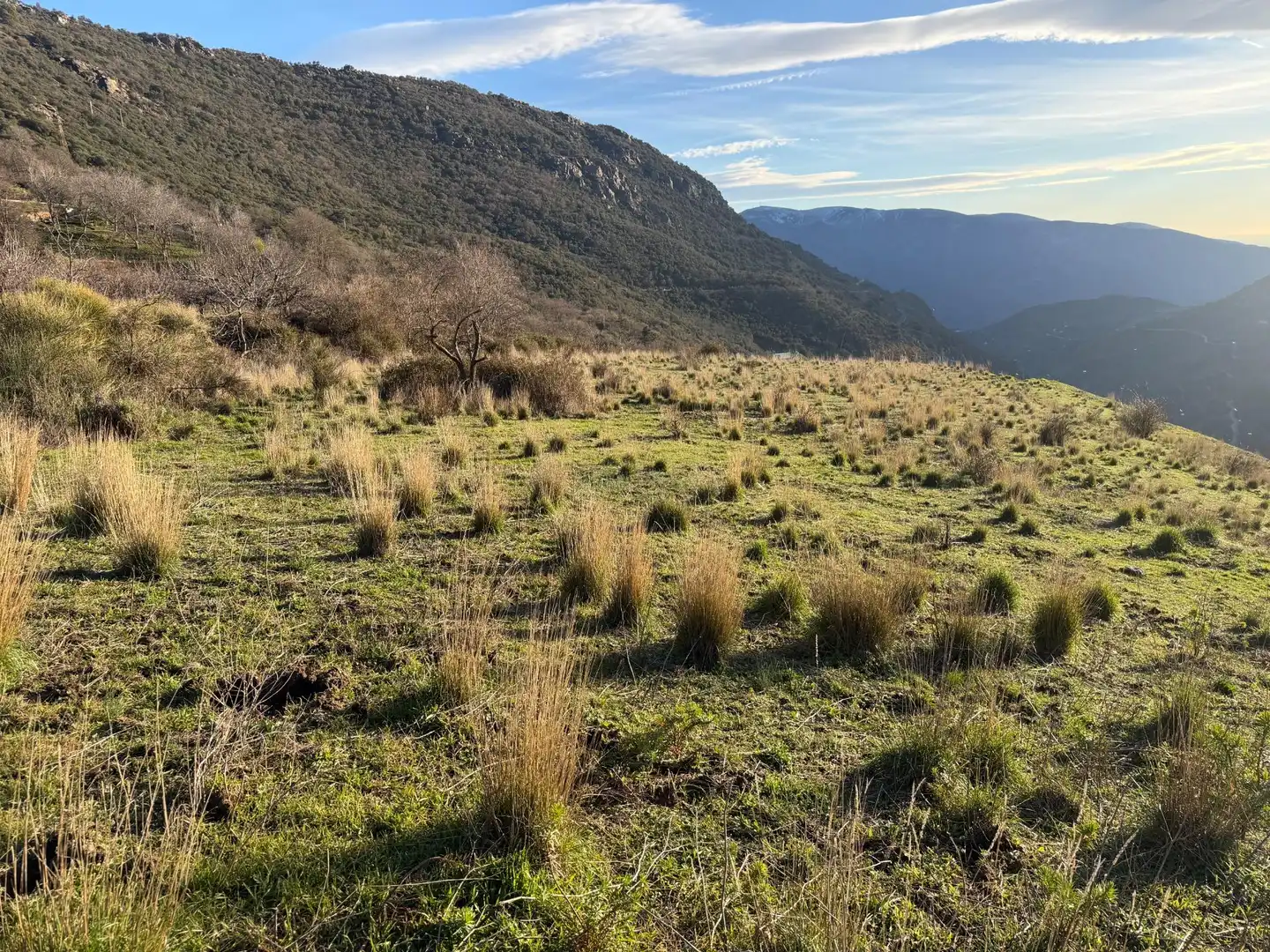 Rural land for sale in Bubión, imagen 9