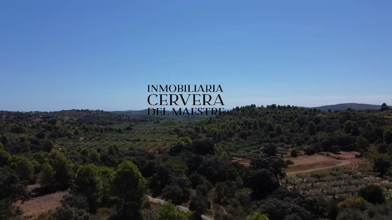 Terreno rustico in vendita a Cervera del Maestre, imagen 18