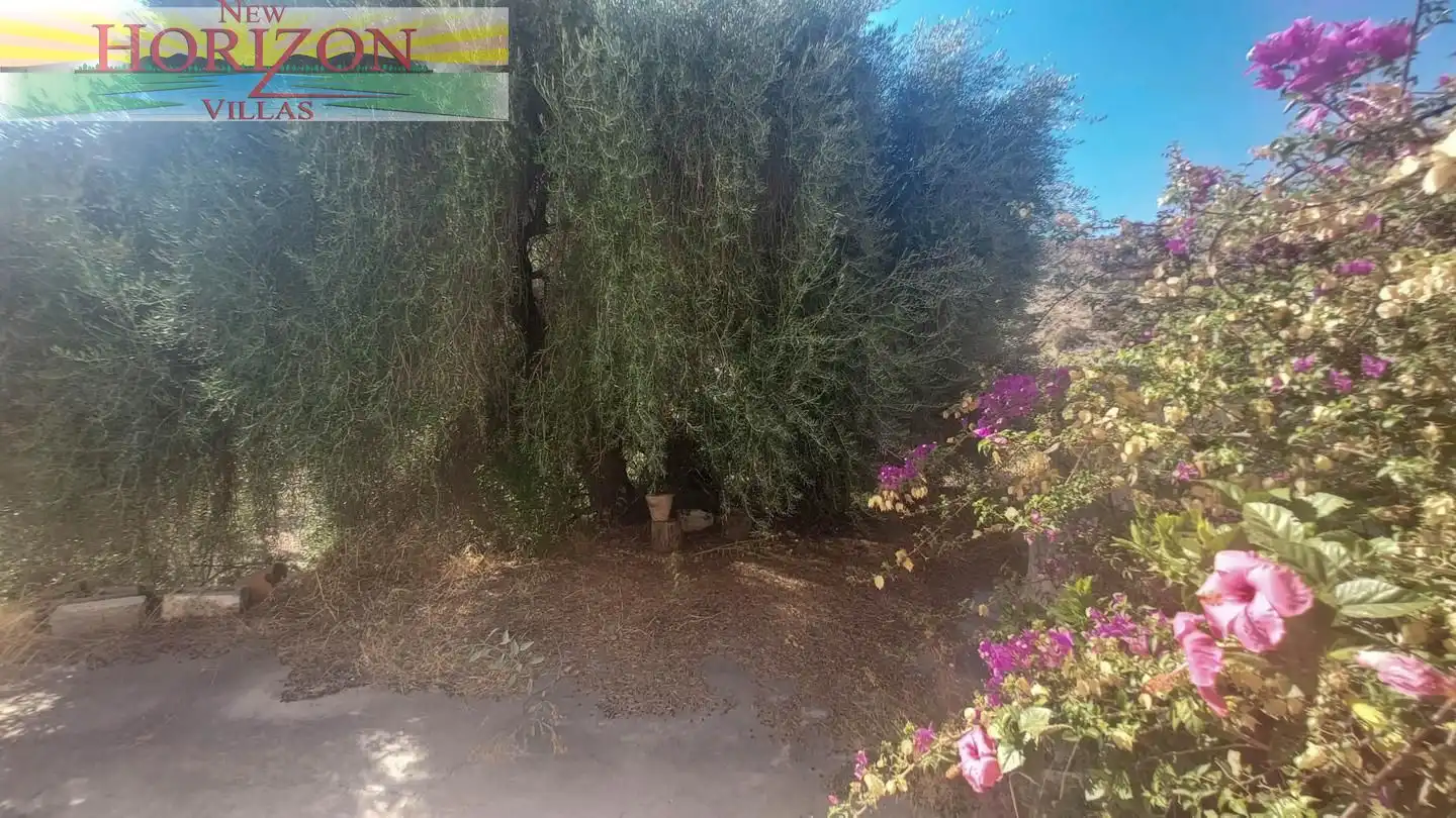 Country homes for sale in Arboleas  with Terrace