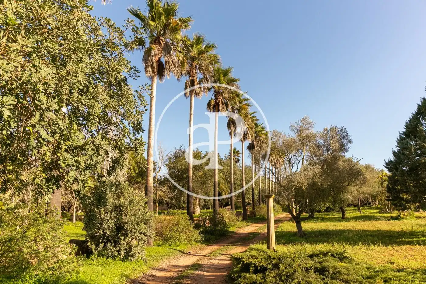 Garden of Houses for sale in Felanitx  with Air Conditioner, Heating and Private garden
