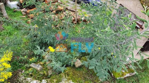 Foto 3 de Casa o chalet en venta en Amoeiro, Ourense